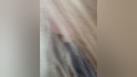 _breid_1 free recording from 2025-08-21 07:42:00