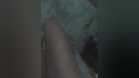 elena380 free recording from 2025-08-21 01:24:00