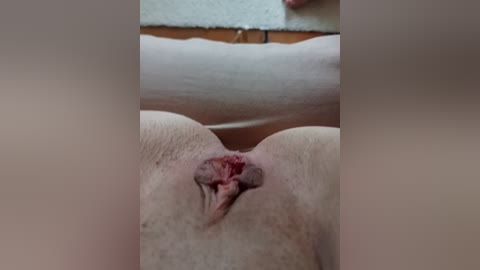 eva6 free recording from 2026-04-14 02:03:00