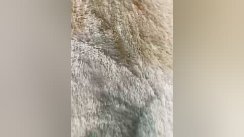 gapeland free recording from 2025-08-22 00:12:00