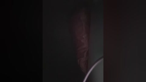 sallyeleins free recording from 2025-08-22 05:43:00