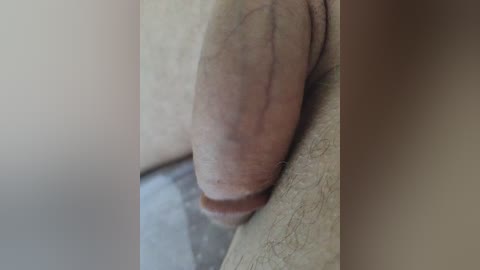 super_couple free recording from 2026-04-25 01:12:00