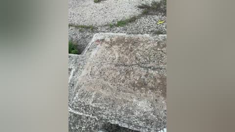 daddysgirl9 free recording from 2025-08-24 15:27:00