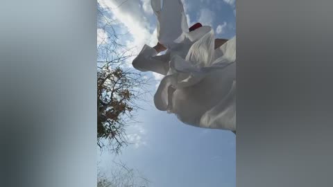 divora free recording from 2025-08-24 10:42:00