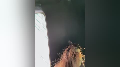 _maybebaby_ free recording from 