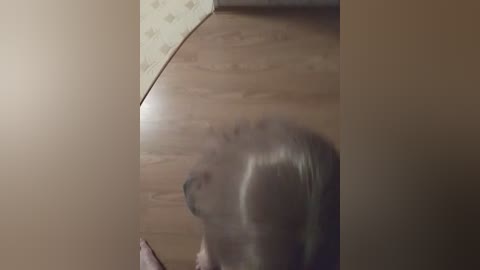 chanel77777 free recording from 2025-08-25 00:02:00