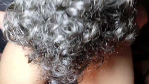 f4ptop free recording from 2025-08-25 05:08:00