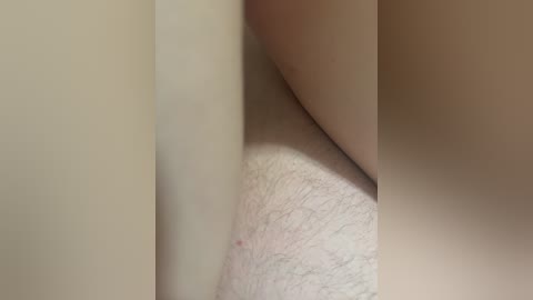 fox_81 free recording from 2025-08-25 05:08:00