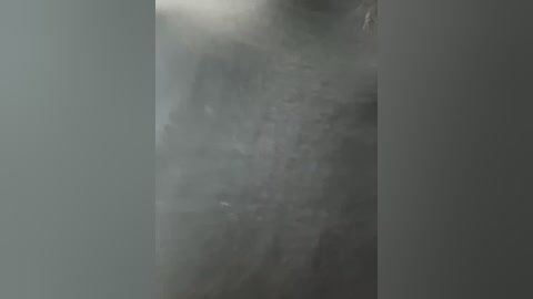 belosnezhka free recording from 2025-08-26 19:00:00