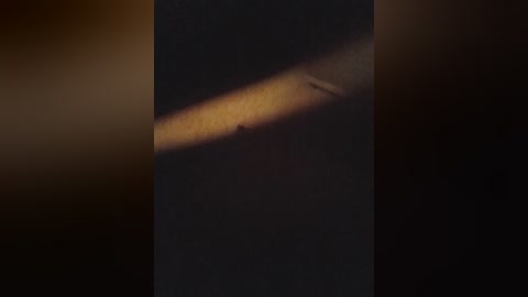 andre4516 free recording from 2025-08-27 20:36:00