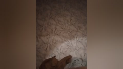 byrzik1213 free recording from 2025-08-27 00:41:00