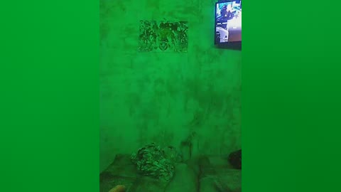 elena380 free recording from 2025-08-27 01:39:00