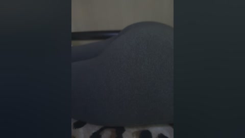 fox_81 free recording from 2025-08-27 15:34:00