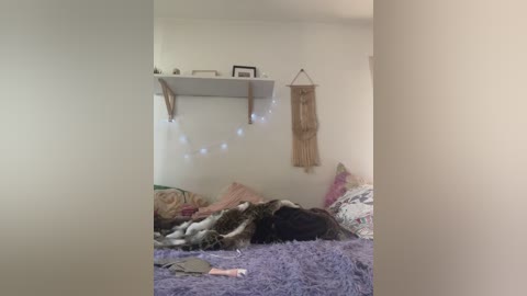 fairygirls free recording from 2025-08-28 10:47:00