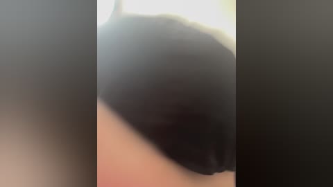 fox_81 free recording from 2025-08-28 09:00:00