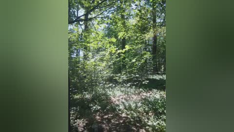 masya1996 free recording from 2025-08-28 11:11:00