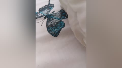 darina909 free recording from 2026-04-14 02:03:00