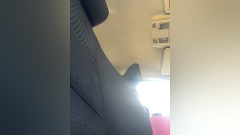 sallyeleins free recording from 2025-08-29 19:25:00