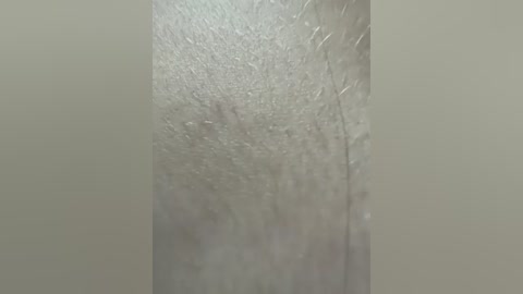 alinagilberd03 free recording from 2025-08-31 02:18:00