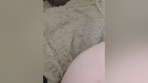 kinshakov80a free recording from 2025-08-31 22:47:00