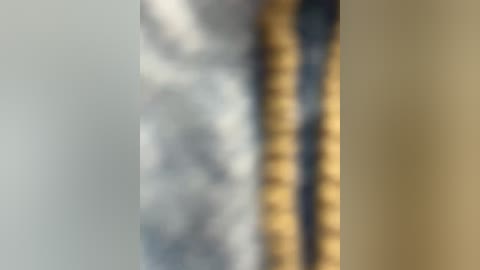 sallyeleins free recording from 2025-08-31 19:57:00