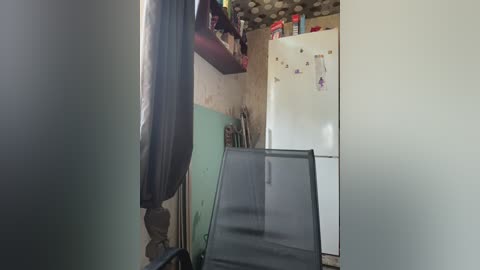 verybaby free recording from 2025-09-01 07:35:00