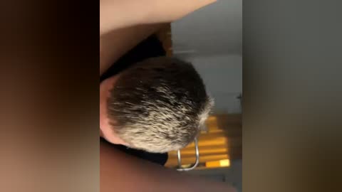 elgina69 free recording from 2025-09-02 18:10:00