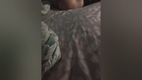 anon17cm free recording from 2026-04-14 02:45:00