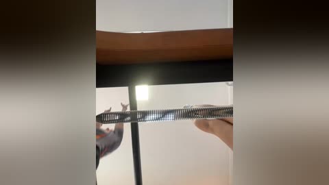 sallyeleins free recording from 2025-09-03 15:12:00