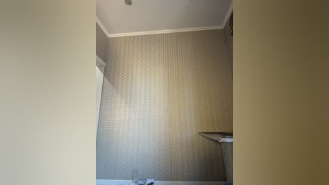 adel9 free recording from 2025-09-04 04:11:00