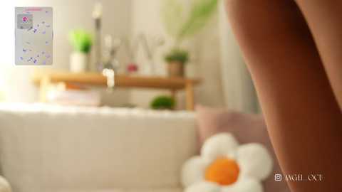 anaikey free recording from 2026-04-14 02:03:00