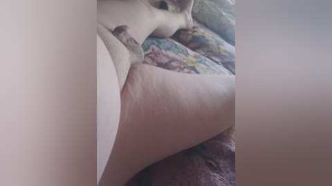 dmitriimariya free recording from 2025-09-05 11:37:00