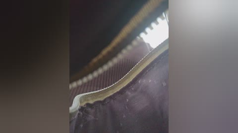 editamilf free recording from 2025-09-05 14:51:00