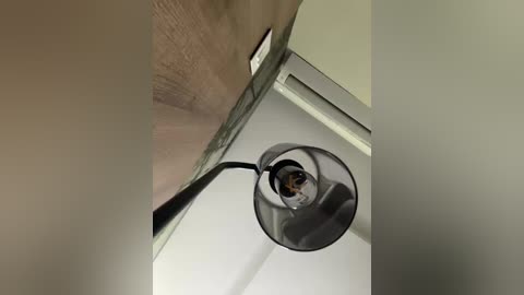 sallyeleins free recording from 2025-09-05 14:01:00