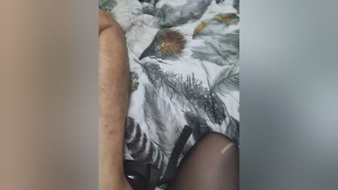 sexsl free recording from 2025-09-05 23:03:00