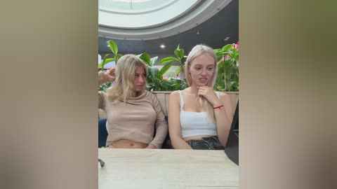 vibromashulkadashulka free recording from 2025-09-05 10:22:00