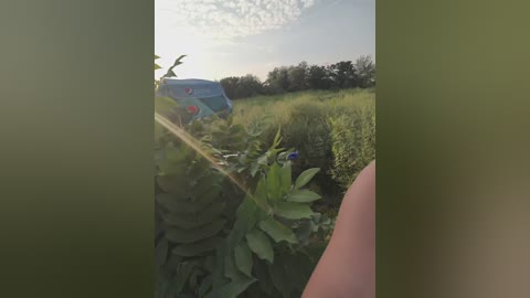 seksiirena free recording from 2025-09-06 14:43:00