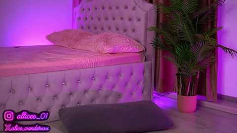 vanesasimon free recording from 2025-09-06 13:22:00