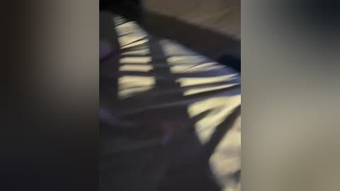 bigbos0948 free recording from 2026-04-14 07:06:00