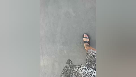 karolinamilf free recording from 2026-04-15 00:11:00