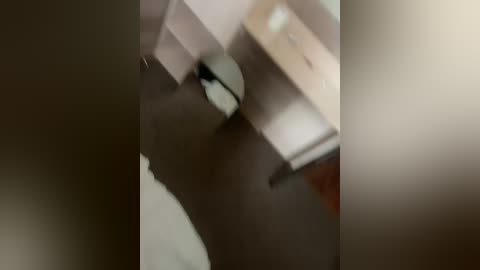 denanna77 free recording from 2025-09-08 07:42:00