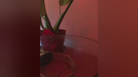 honeykj free recording from 2025-09-09 01:00:00