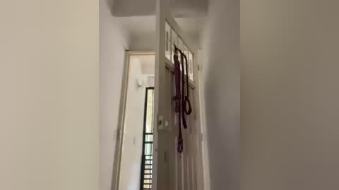 sallyeleins free recording from 2025-09-11 18:45:00