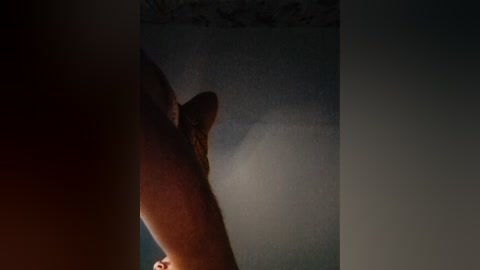 cat_bars69 free recording from 2025-09-12 17:34:00