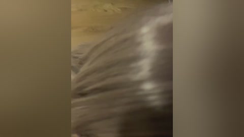 chanel77777 free recording from 2025-09-12 09:33:00