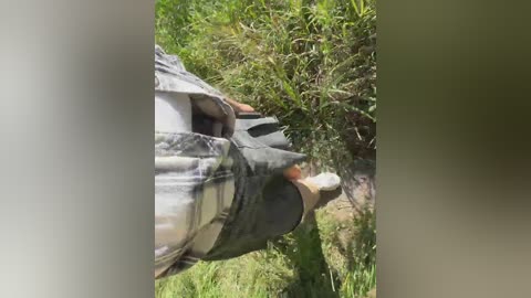 daddysgirl9 free recording from 2025-09-12 09:23:00