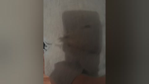 family2020 free recording from 2025-09-12 16:21:00