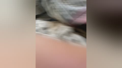 parochkaporn free recording from 2025-09-12 07:21:00