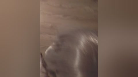 chanel77777 free recording from 2025-09-13 04:26:00