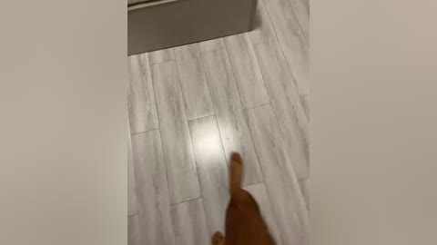 davit1 free recording from 2025-09-14 03:05:00